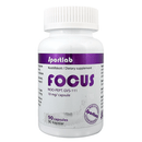 Focus